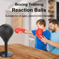 🔥New Year Hot Sale🔥Desktop Punching Boxing Bag