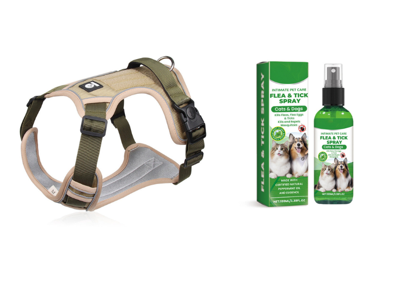 📢📢50% OFF !! ⏰No Pull Dog Harness with Leash & Collar LED