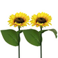 🔥2025 New Hot Sale 50% OFF🔥Sunflower Solar Garden Stake Led Lights🌻