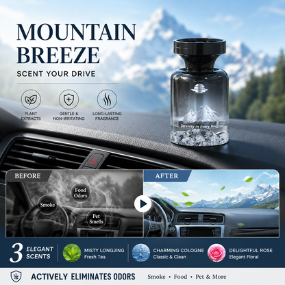 🔥HOT SALE 50% OFF🔥110ml Long-Lasting Car Air Freshener