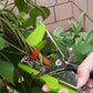 🔥Garden Bundled Branch Tool