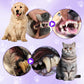 🔥Hot Product🔥🐱🐶Pet Toothbrush Pen for Cleaning
