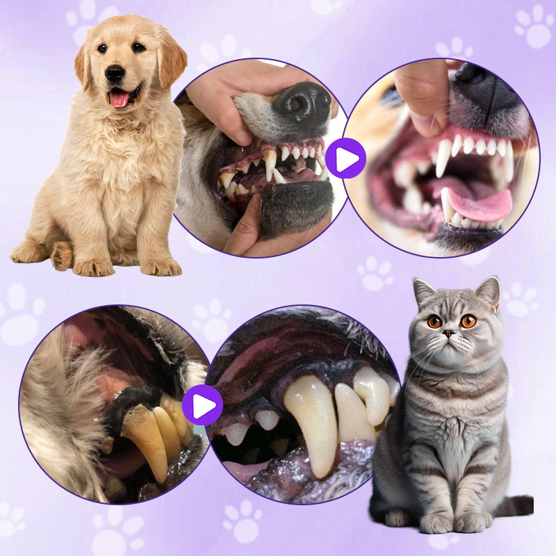 🔥Hot Product🔥🐱🐶Pet Toothbrush Pen for Cleaning