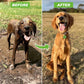 Pup Jet Dog Wash Hose Nozzle Foam Dog Horse Sprayer Wash Hose Attachment Soap Dispenser Sprayer Dog Bathing Sprayer