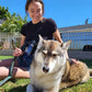 Pup Jet Dog Wash Hose Nozzle Foam Dog Horse Sprayer Wash Hose Attachment Soap Dispenser Sprayer Dog Bathing Sprayer