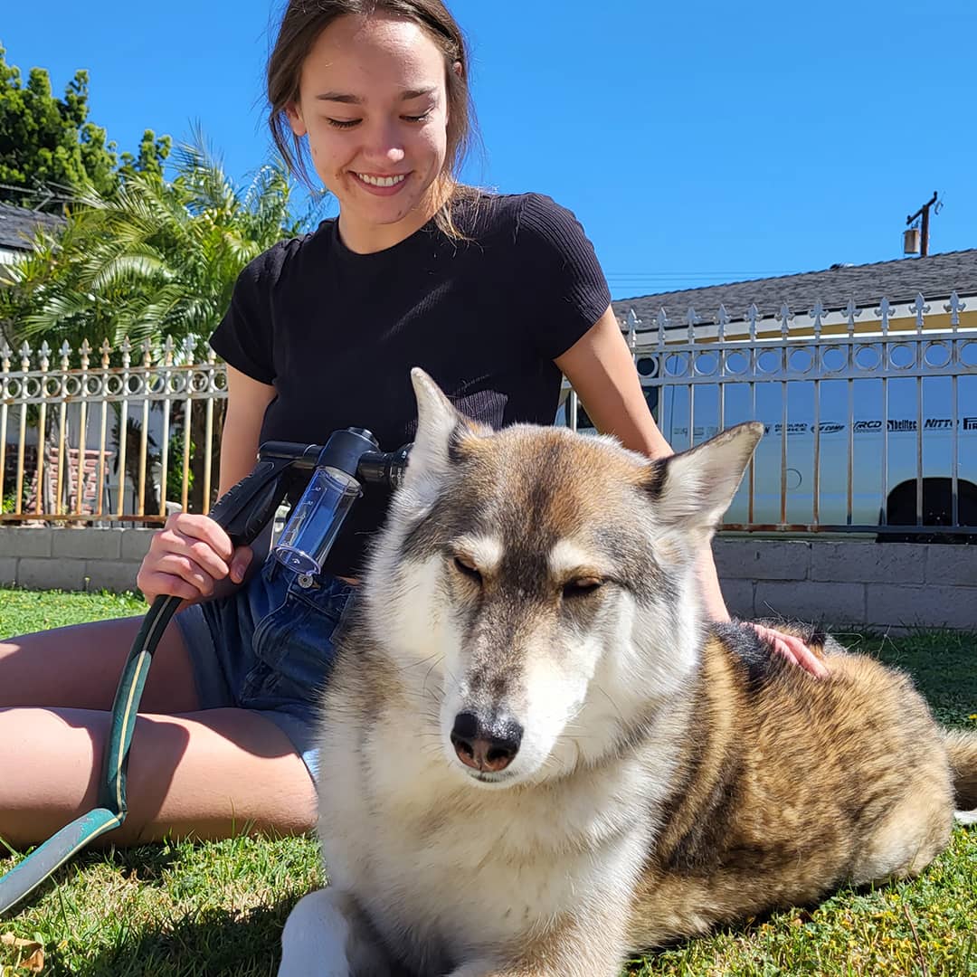 Pup Jet Dog Wash Hose Nozzle Foam Dog Horse Sprayer Wash Hose Attachment Soap Dispenser Sprayer Dog Bathing Sprayer