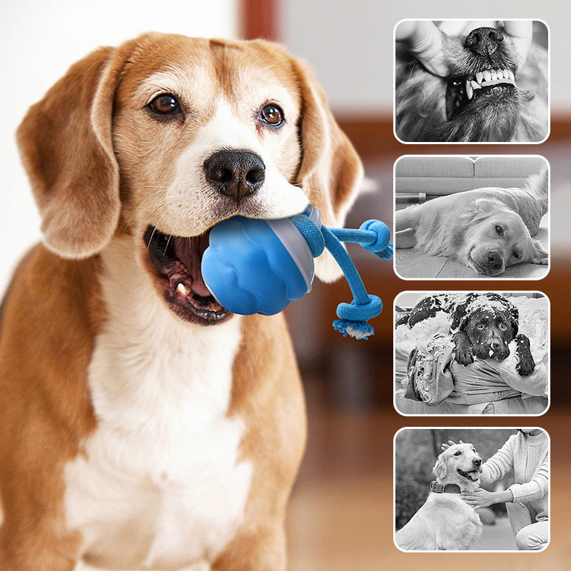🐾 50% OFF NOW! 🎾 Interactive Electronic Pet Toy Ball – Auto-Motion, Chew-Resistant & Calming for Cats/Dogs, Soothing Boredom 🔋✨📦