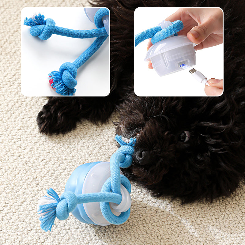 🐾 50% OFF NOW! 🎾 Interactive Electronic Pet Toy Ball – Auto-Motion, Chew-Resistant & Calming for Cats/Dogs, Soothing Boredom 🔋✨📦