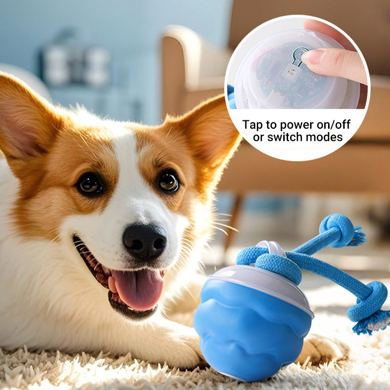 🐾 50% OFF NOW! 🎾 Interactive Electronic Pet Toy Ball – Auto-Motion, Chew-Resistant & Calming for Cats/Dogs, Soothing Boredom 🔋✨📦