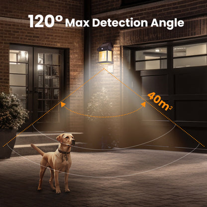 🎁Christmas Limited Discount 50% Off⏳ Motion Sensor Solar Tungsten Wall Light