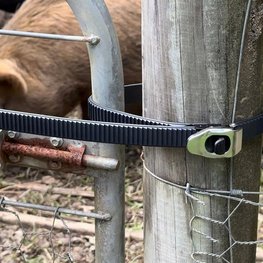 📢📢50% OFF !!✨ Ultimate Secure Locking Fastening Strap