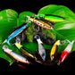 ✨ Propeller Floating Rotating Tail Lure – Catch More Trophy Fish! ✨