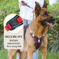 📢📢50% OFF !! ⏰No Pull Dog Harness with Leash & Collar LED