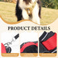 📢📢50% OFF !! ⏰No Pull Dog Harness with Leash & Collar LED