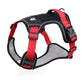 📢📢50% OFF !! ⏰No Pull Dog Harness with Leash & Collar LED