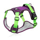 📢📢50% OFF !! ⏰No Pull Dog Harness with Leash & Collar LED