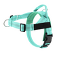 🐶🐾Easy On-Off Padded Dog Harness – No-Pull & Breathable – Safe & Comfortable