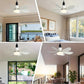 ⏳LAST DAY SALE 50% OFF🔥40W LED Ceiling Fan Light – 20.5” Ultra-Quiet with Remote 🎯 | E27 + FREE B22 Adapter 🔌 | For Bedroom 😴, Kitchen 👩‍🍳 & Garage 🛠️