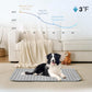 ⏳🔥LIMITED-TIME 50% OFF! 🐶 Dog Cooling Mat – 4x More Effective Cooling for Hot Summer Days ❄️✨